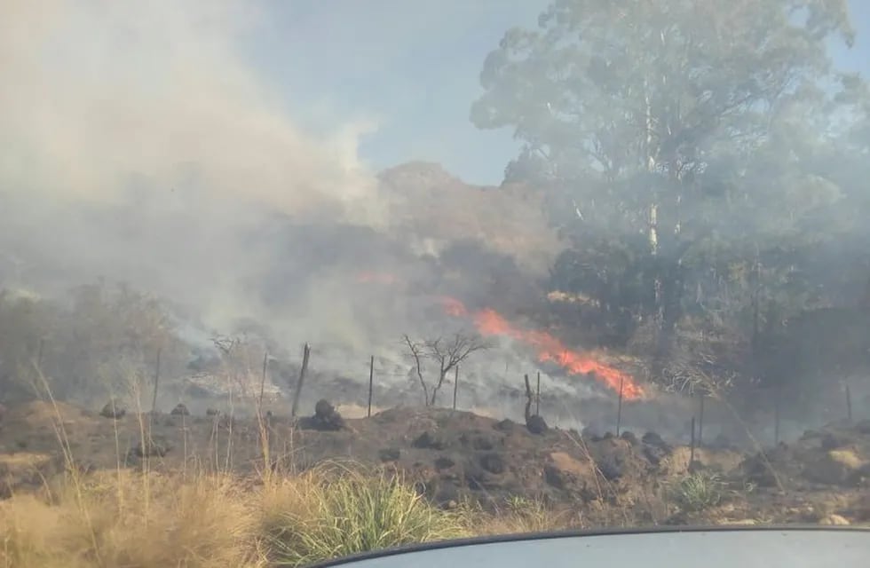 Incendio en La Granja y San Jorge (Gentileza Mas Radio)
