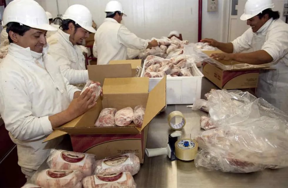 Carne de exportación, China tiene mayor demanda de porcinos, pero su a Brasil eso lo pone en jaque en materia de exportaciones