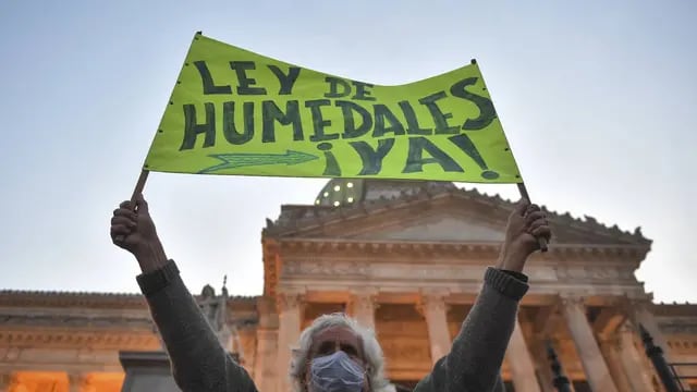 Ambientalistas marcharon por una ley de humedales en Buenos Aires