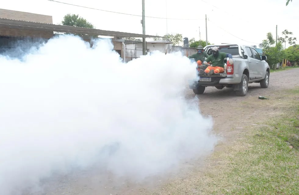 Fumigación en barrios de Resistencia.