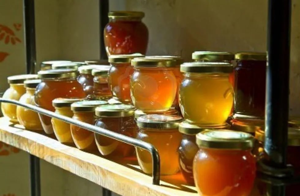 Semana de la miel (Conacyt)