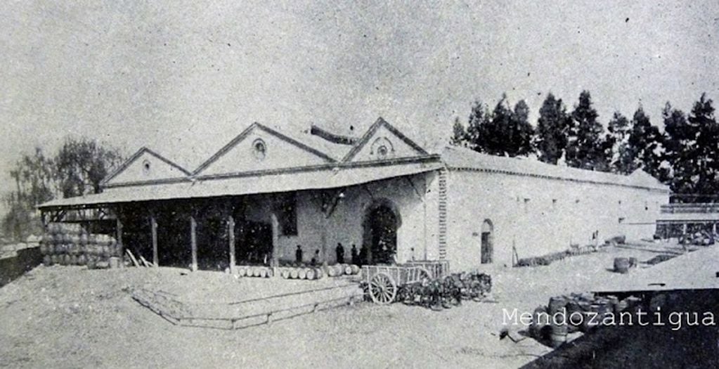 La Bodega Arizu en 1910
