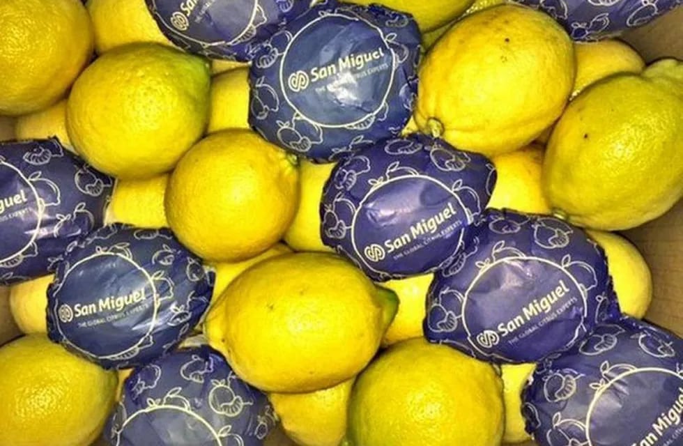 Imagen ilustrativa. Los limones San Miguel llegaron a la India.