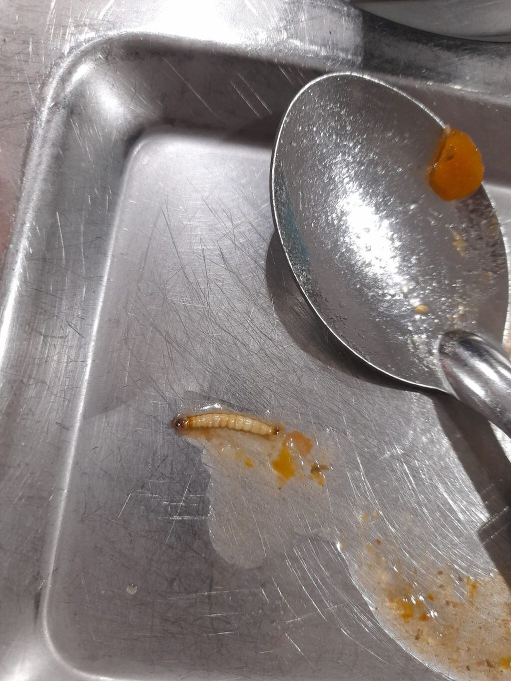 Río Cuarto. La larva encontrada en una de las viandas escolares (Gentileza).
