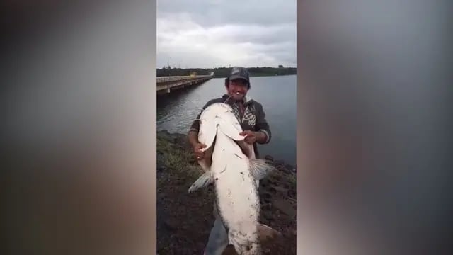 Posadas: pescaron un surubí de 30 kilos en Villa Cabello