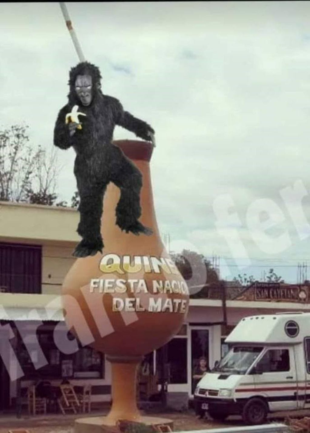 Memes sobre el gorila en Quines, San Luis.