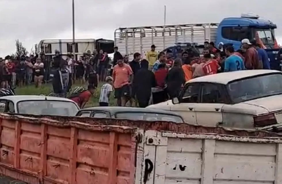 Vecinos de Río Cuarto faenaron una vaca de un camión que volcó.