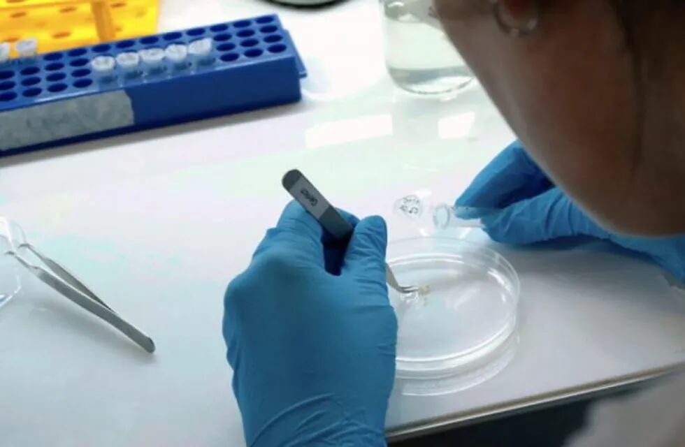 Salud confirmó cinco nuevos casos de coronavirus en el Chaco. (Web).