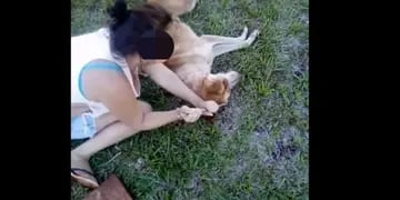 Maltrato animal: dos menores le sacaron los ojos a un perro