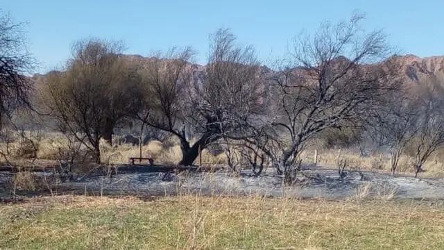 Incendio forestal en Huaco, Jáchal, San Juan.