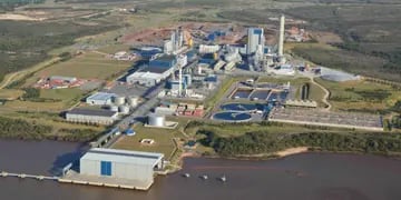 Alerta sobre posible contaminación de la planta de UPM-Botnia