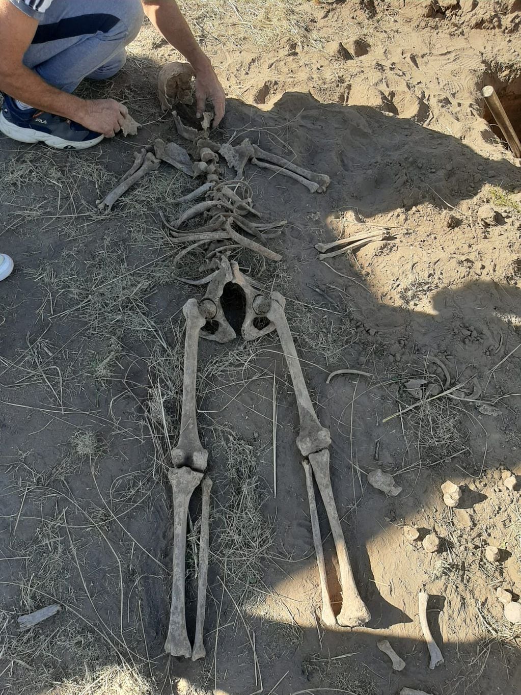 Esqueleto encontrado cerca de Rio V en San Luis