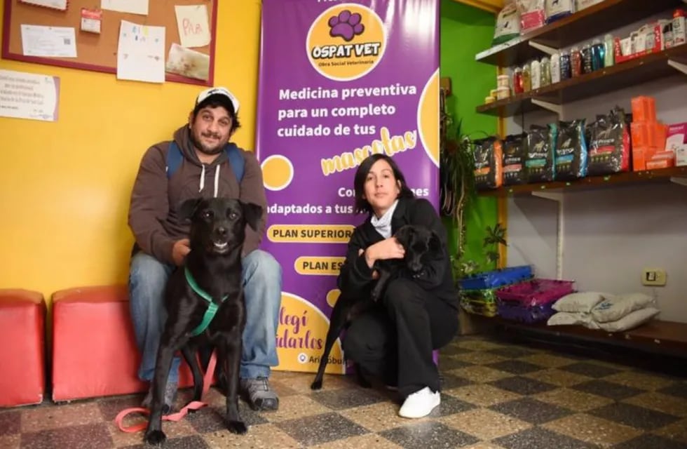 Ospavet obra social para mascotas en San Luis. Foto: El Diario de la República.