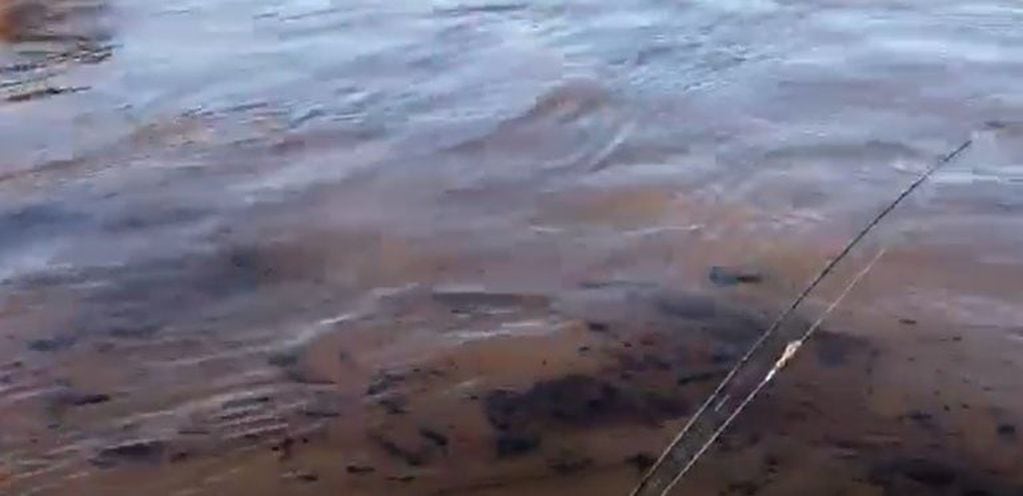 Las filtraciones causaron preocupación en los pescadores y ambientalistas. (video Facebook/carlossolis