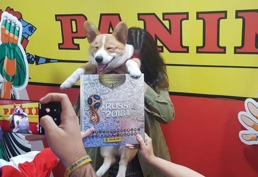 Un perro le comió el albun del Mundial a su dueña