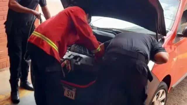 Bomberos rescatan a un gato atrapado en el motor de un vehículo en Mártires