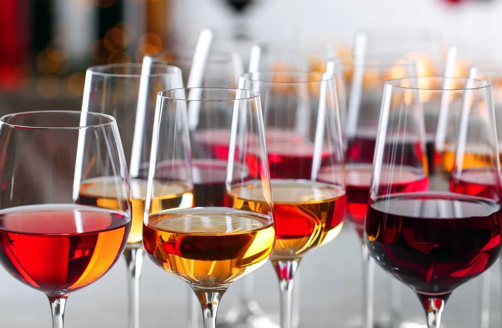 Glasses with different wines on blurred background, closeup