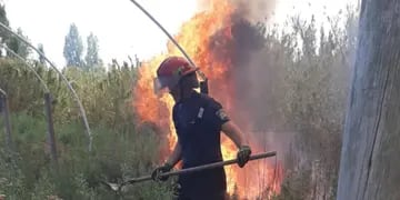 Incendio en un campo de Maipú.