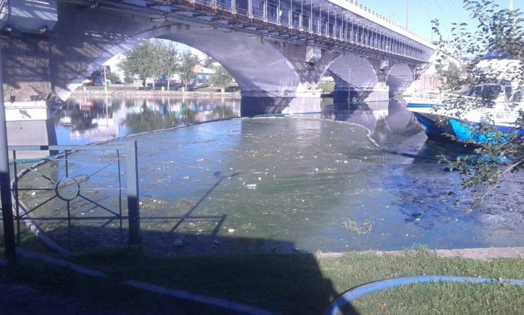 Limpieza del Lago San Roque