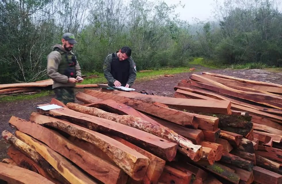 Incautan madera nativa en Cerro Corá.