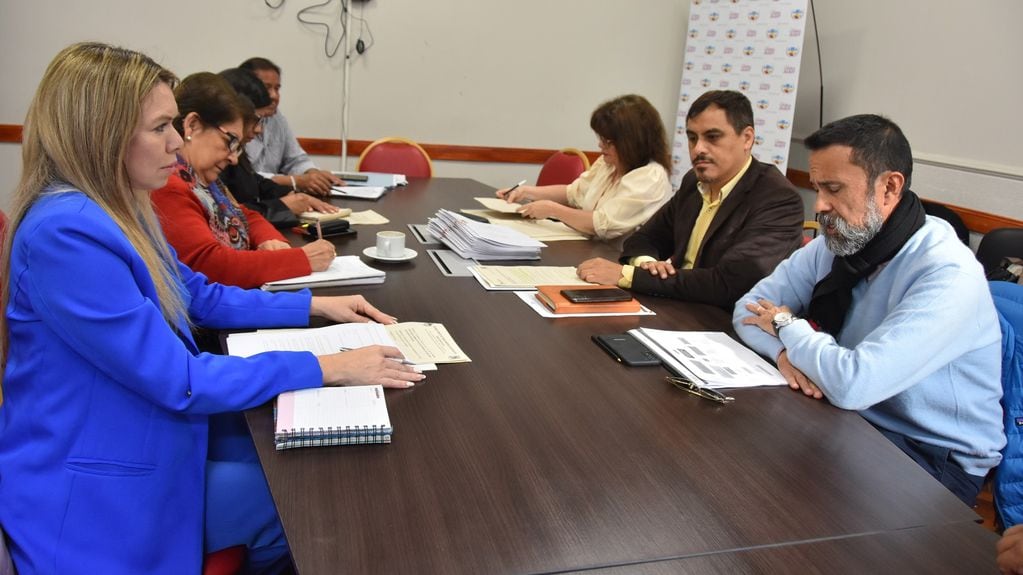 La Comisión de Salud de la Legislatura se reunió en el salón "Presidente Raúl Alfonsín" para avanzar en el análisis de la adhesión a la Ley Nacional de Oncopediatría.