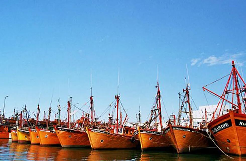 Sector pesquero de Mar del Plata.