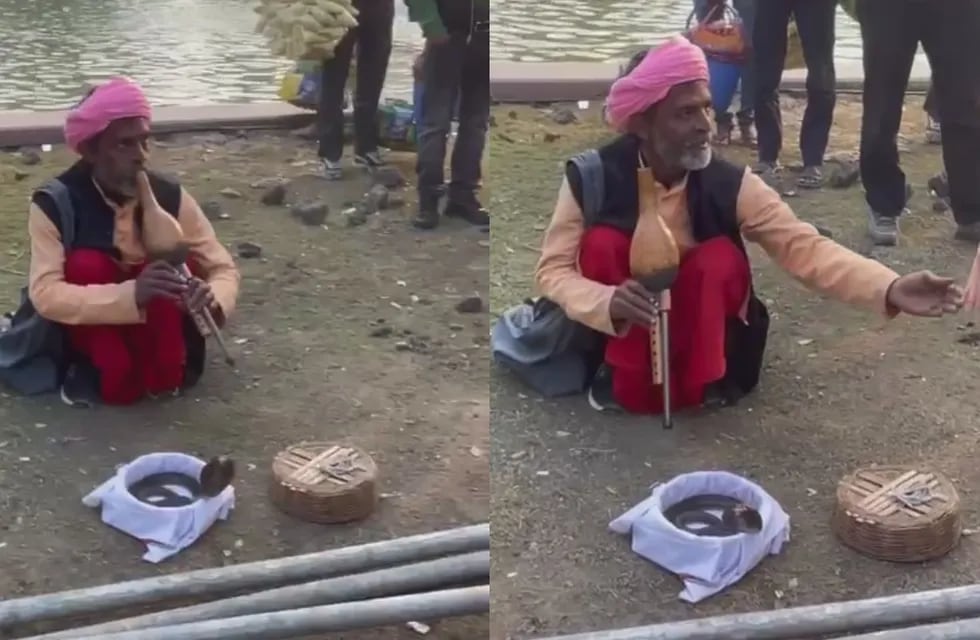 El desopilante video de Facundo Zárate tocando una serpiente en las calles de la India.