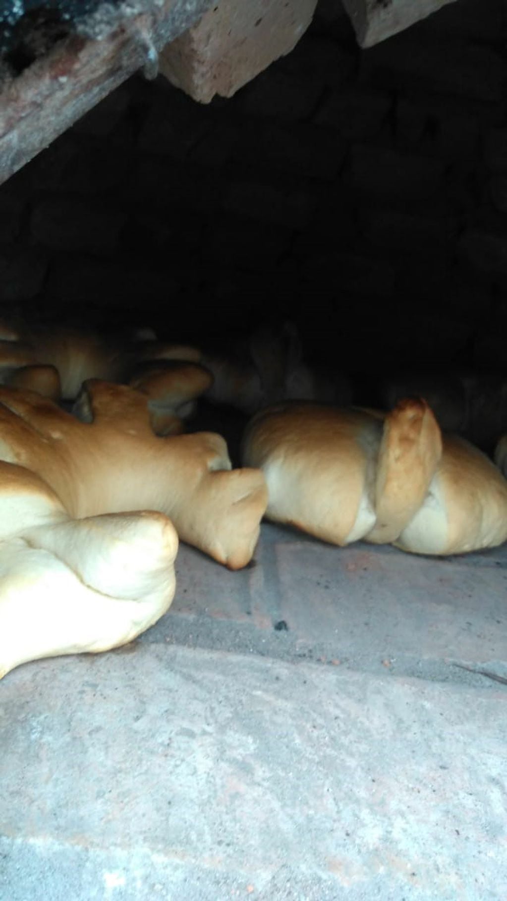 Los panes a punto de ser sacados del horno.