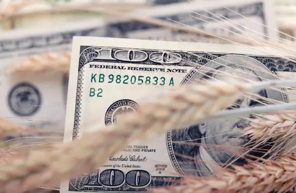 El Gobierno busca fortalecer las reservas del Banco Central con un nuevo dólar agro.