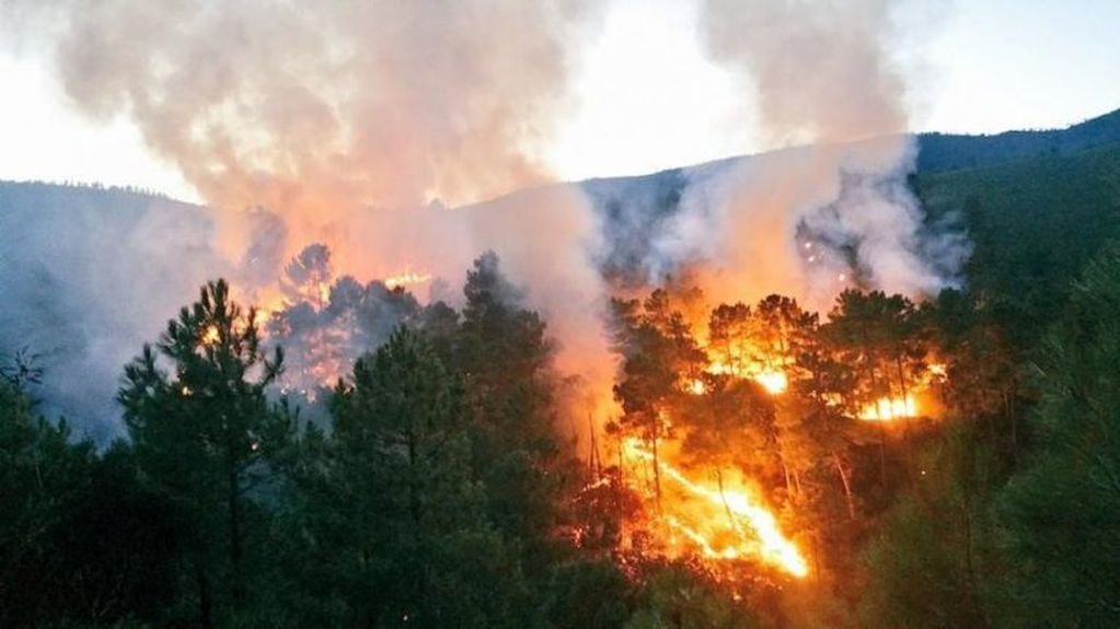 Incendio forestal