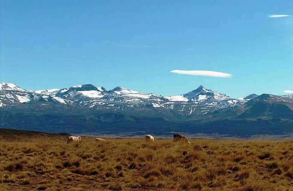 Campo con ovejas bajo un cerro nevado en Tucu Tucu.