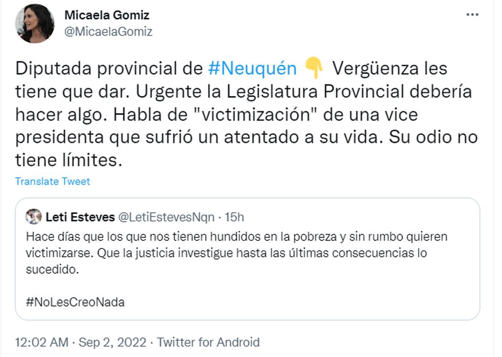 Dirigentes macristas y kirchneristas de Neuquén discuten por la veracidad del ataque a Cristina.
