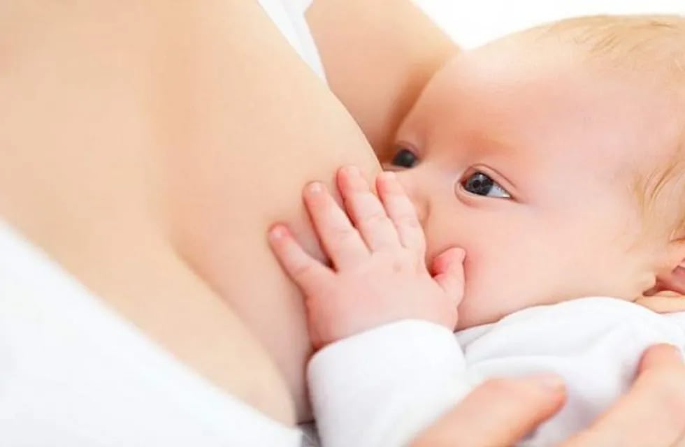 Semana Mundial de la Lactancia Materna (Web)
