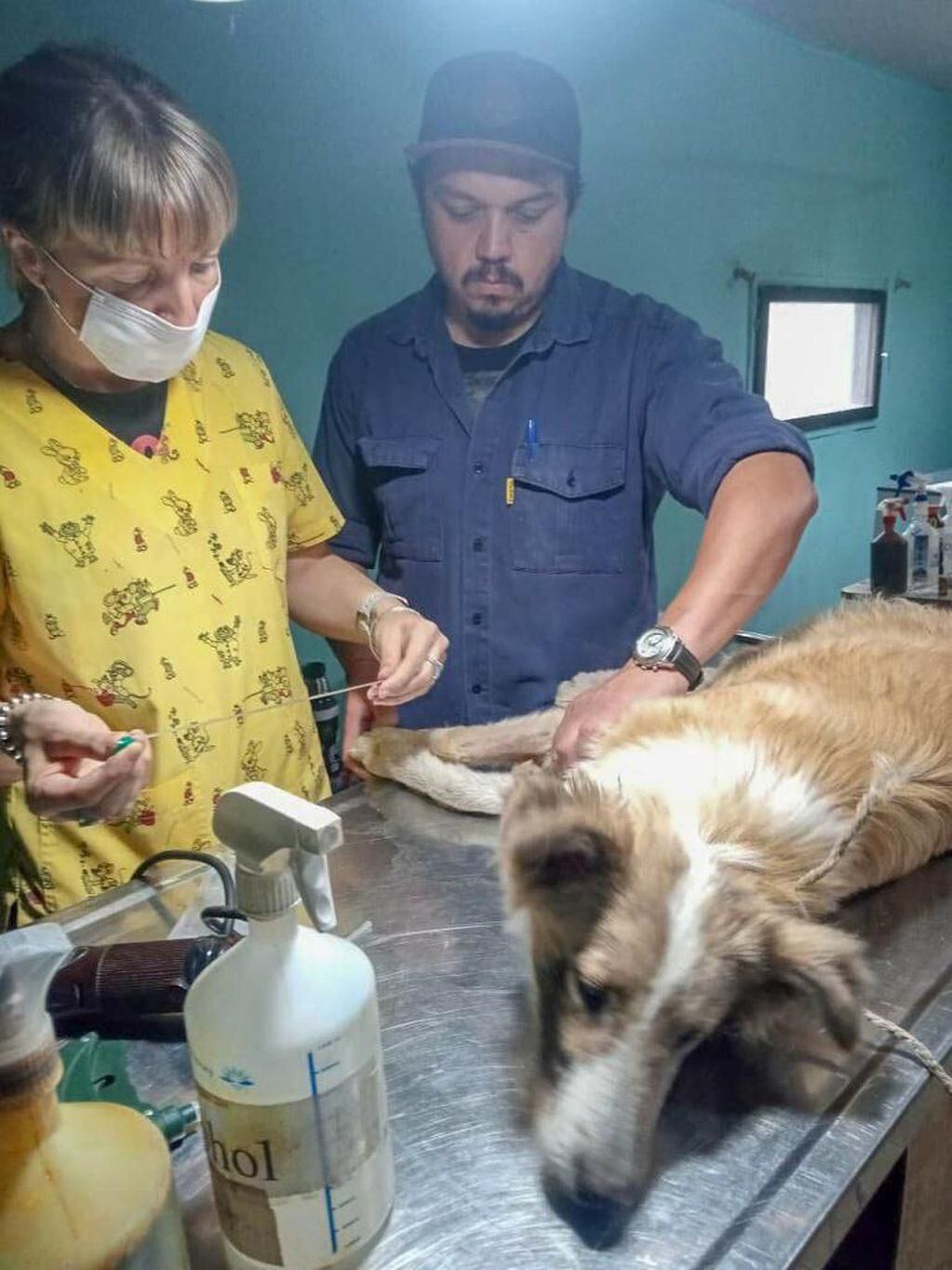 Sabrina Marcucci, sostuvo que “estuvimos con el equipo de la Dirección de Zoonosis en el Dos Banderas para llevar adelante una castración de mascotas del sector”, y agregó que “se castraron más de 15 animales”.
