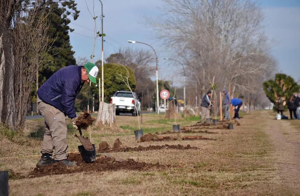 Pérez: se plantaron 70 árboles nativos en el Paseo del Caminante (Facebook Pérez Ciudad)