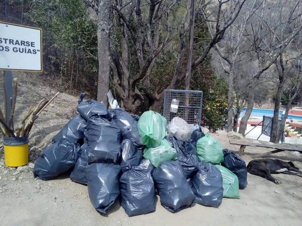 Más de 20 bolsas de residuos entre secos y húmedos.