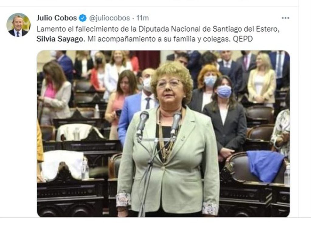 Julio Cobos expresó sus condolencias tras la muerte de Silvia Sayago.