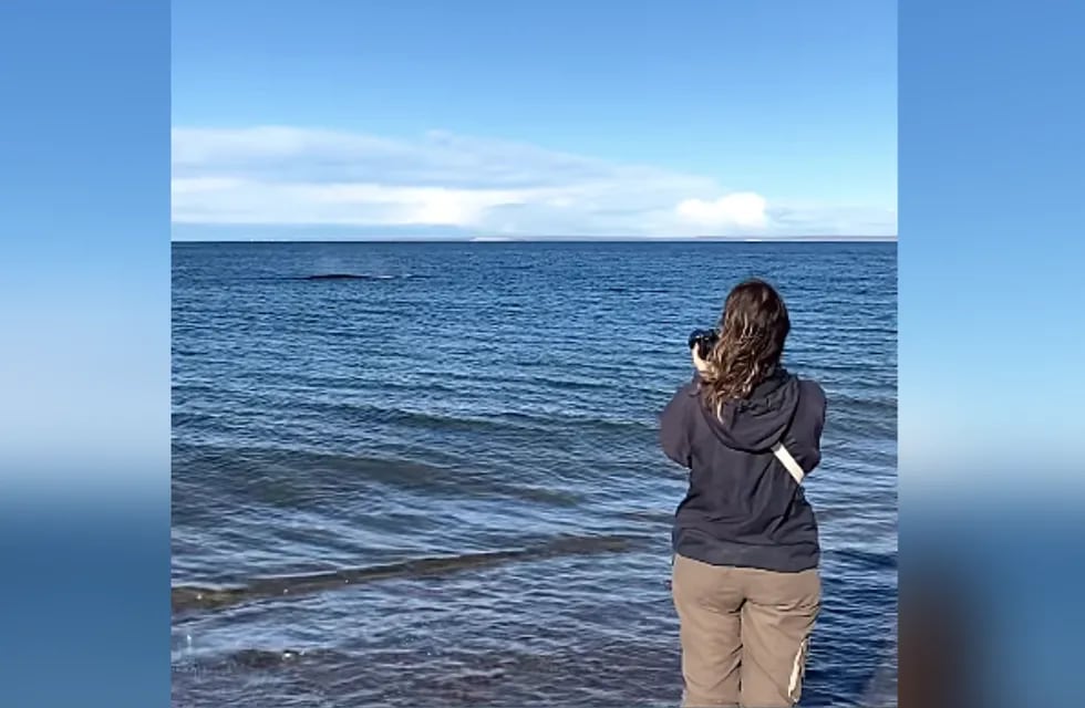 Una fotógrafa española viaja por el mundo y vino a Argentina para conocer a las ballenas en Puerto Madryn.