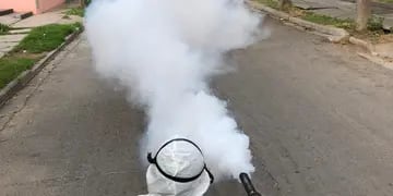 Fumigan contra el dengue en San Luis