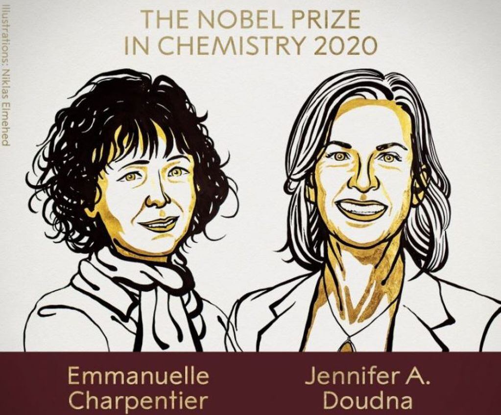 Nobel de Química para las inventoras de las tijeras de edición genética, Emmanuelle Charpentier y Jennifer A. Doudna "por el desarrollo de un método para la edición del genoma", (NIKLAS ELMEHED/DPA)