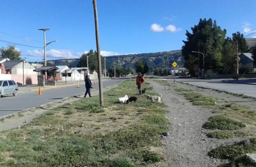 Controles Esquel