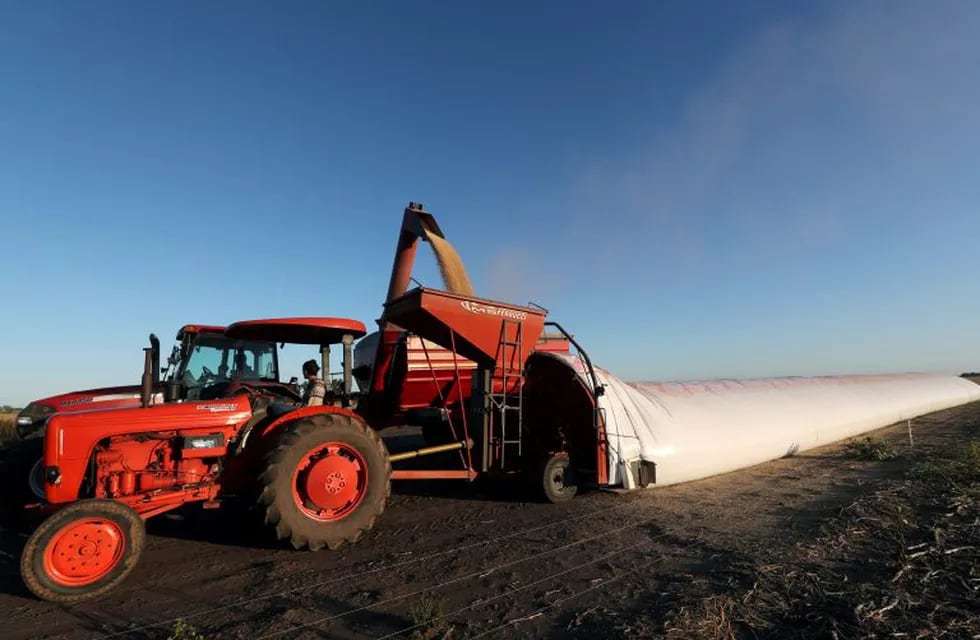 FILE PHOTO: A truck unloads soy grains in a silo bag on a farmland in Chivilcoy, on the outskirts of Buenos Aires, Argentina April 8, 2020. Picture taken April 8, 2020. REUTERS/Agustin Marcarian/File Photo   soja silo bolsa  silobolsa