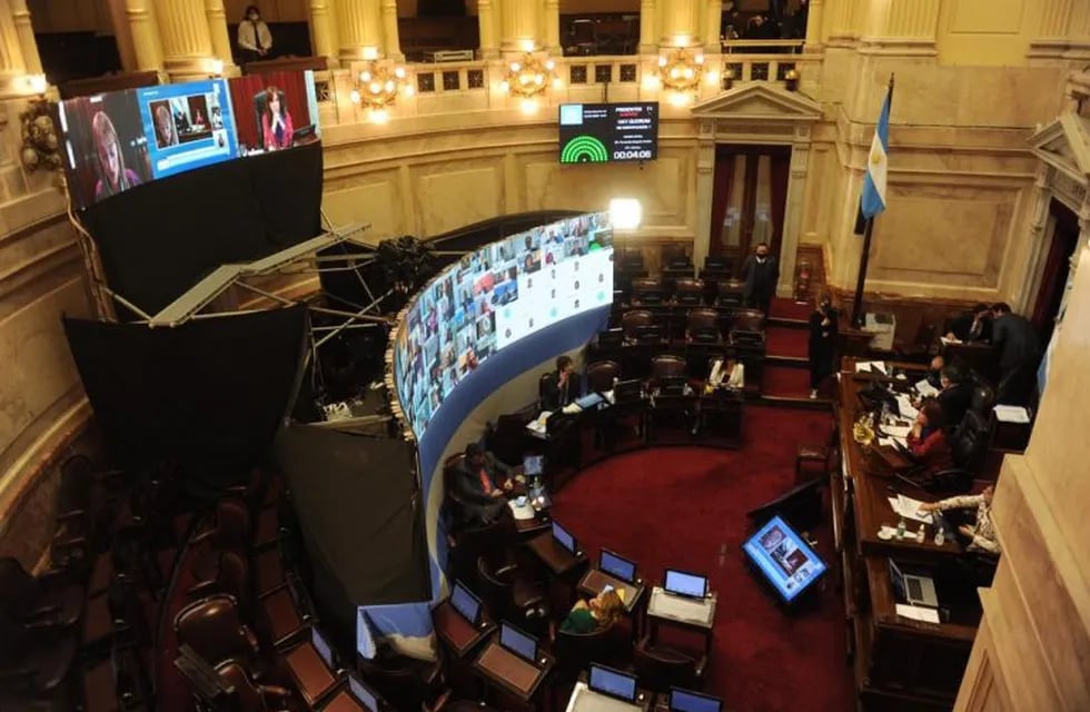 El Senado sesiona de forma virtual por primera vez en la historia. (Federico López Claro)