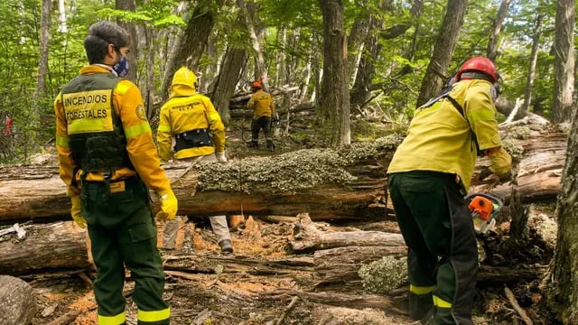 Alerta por posibles incendios forestales en Tierra del Fuego.