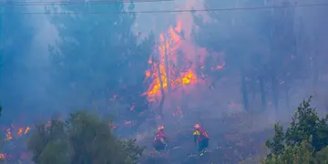 Incendio forestales en Chubut.