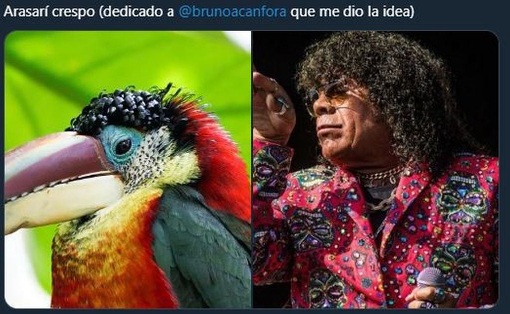 La Mona Giménez uno de los comparados con pájaros (Foto: Twitter)