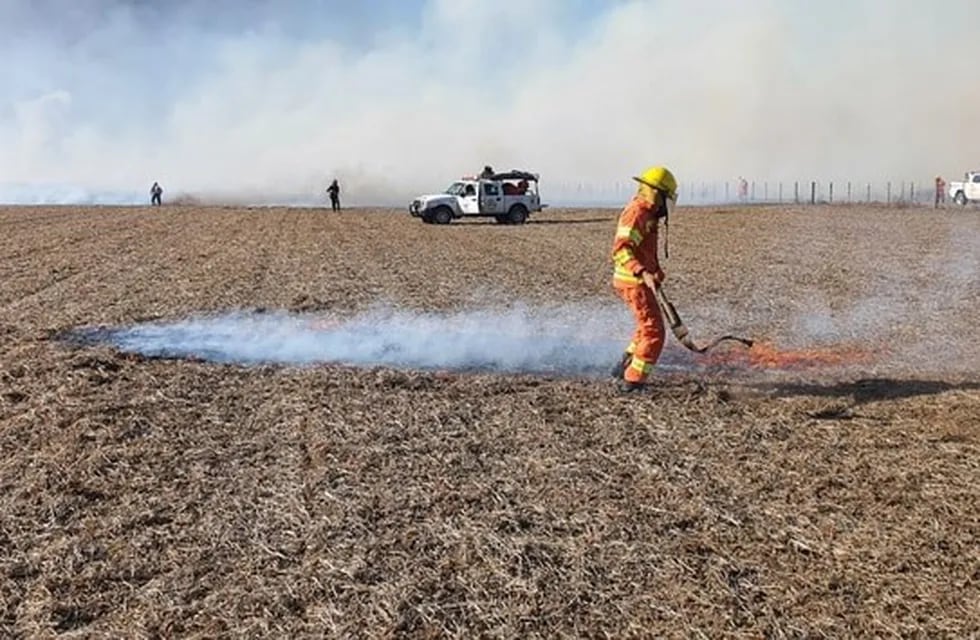 Denuncian incendios intencionales en campos de Córdoba