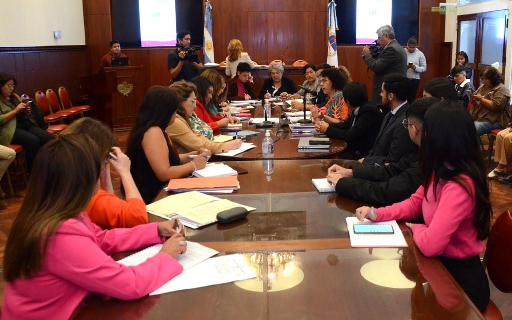 En el salón "Marcos Paz" de la Legislatura de Jujuy tuvo lugar la reunión de presentación del informe semestral de aplicación de la ley provincial 6.186 "Declaración de Emergencia Pública en Materia de Violencia de Género, también conocida como "Ley Iara".