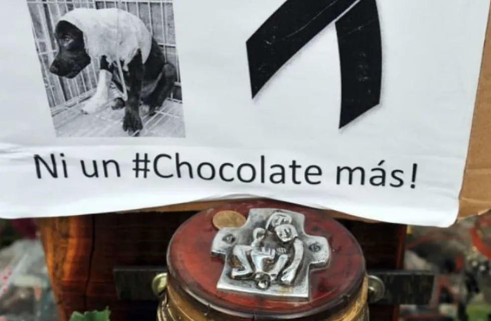 Homenaje a Chocolate, a un año de su muerte.