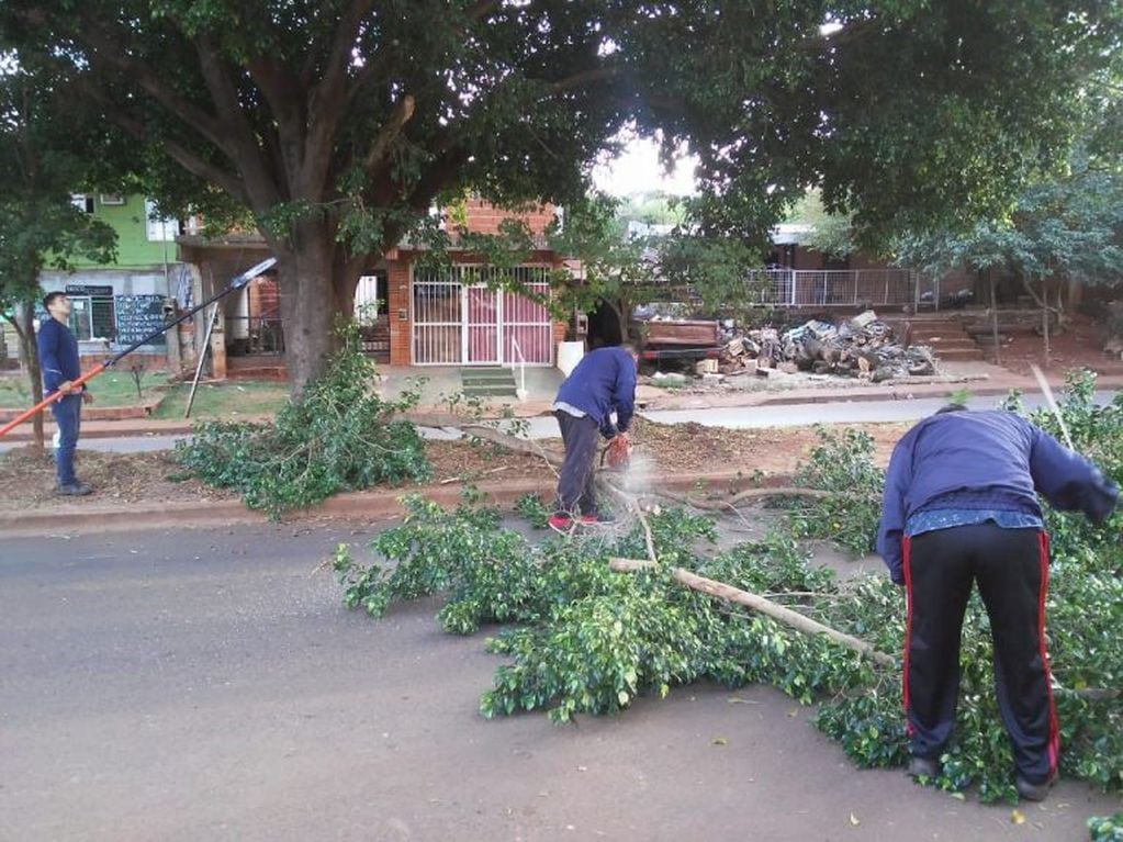 Los empleados municipales retiraron restos de árboles caídos y de ramas producto de la poda en barrios del Oeste de Posadas. (Municipio)